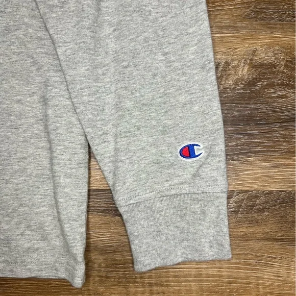 Champion Mens Middleweight T-Shirt Hoodie, Oxford Gray, Size L - Picture 7 of 9